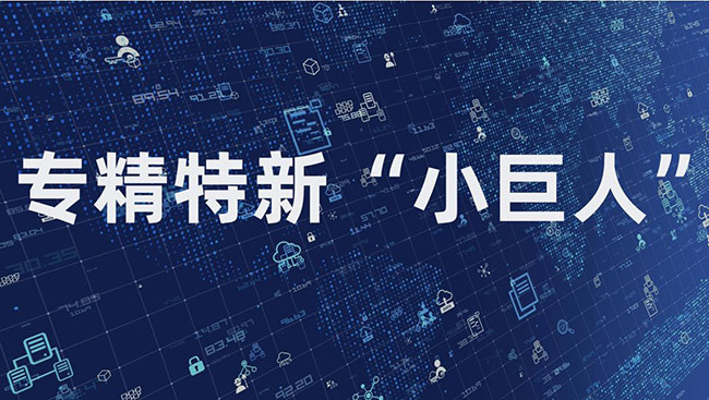 专精特新小巨人