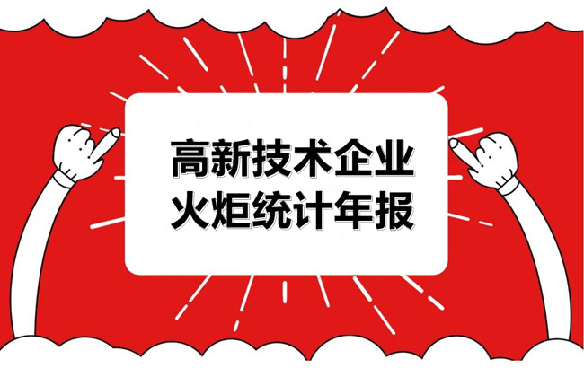 高新技术企业火炬统计年报.jpg