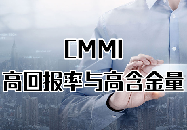 CMMI-高回报率与高含金量