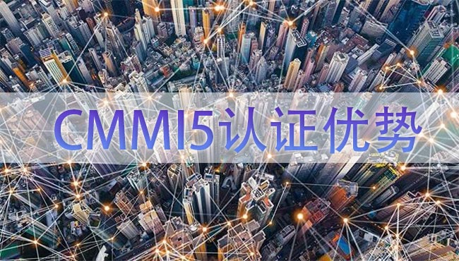 CMMI5认证优势