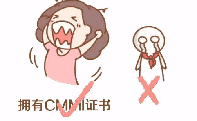 CMMI极具权威性
