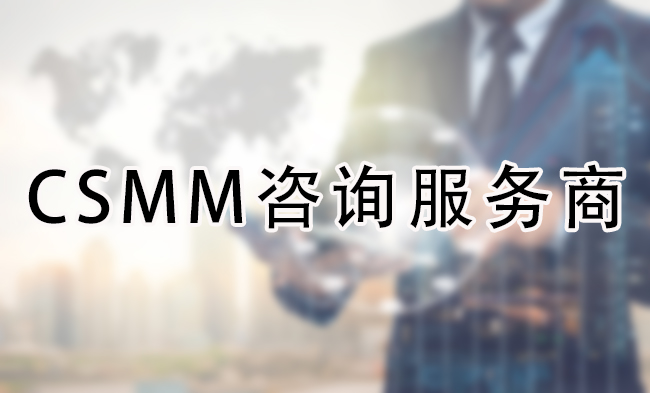 CSMM咨询服务商