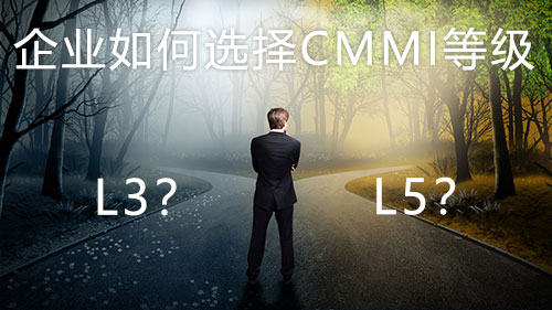 如何选择CMMI认证的级别